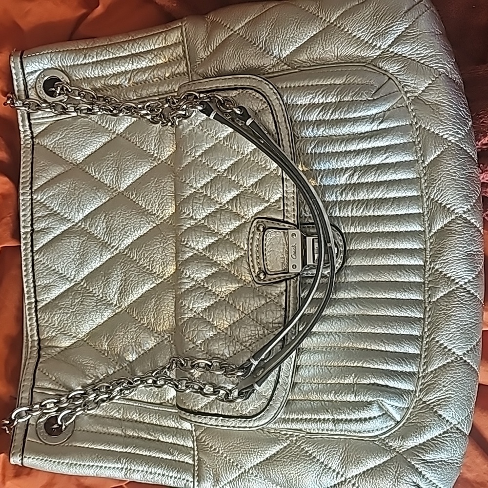 Coach Poppy Silver Purse